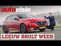Zo kwam het nieuwe logo van Peugeot tot stand | Sjoerds Weetjes 273 | 4K