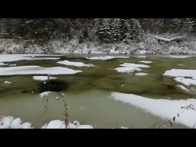 В Прибайкальском национальном парке задержали браконьера