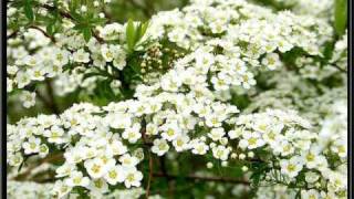 As Time Goes Byavec Belles Photos