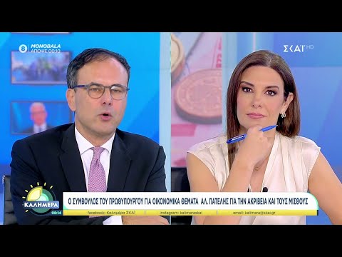 Ο σύμβουλος του Πρωθυπουργού για οικονομικά θέματα Α. Πατέλης για την ακρίβεια και τους μισθούς