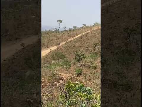 Judeia morro agudo de Goiás #aventura #trilhasradicais #trilha #motoroffroad