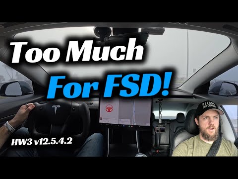Tesla FSD Struggles in Heavy Fog! | AI vs Nature