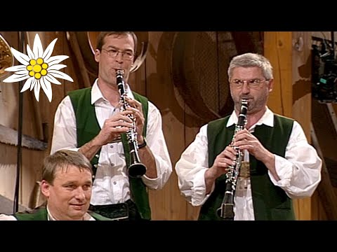 Vom Rebstock zum Wein | Weinbergmusi