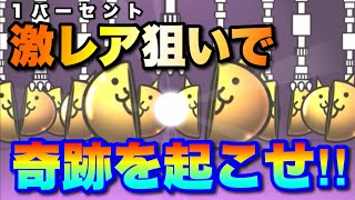 おバカな理由でガチャを引いたらまさかの自体に⁉︎  #にゃんこ大戦争　【オレンジチャンネル】
