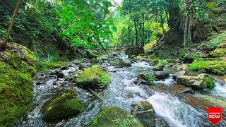 Download lagu terapi air mengalir ~ menyembuhkan pikiran dan membantu tidur, ASMR mp3