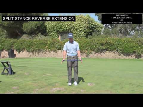 Split Stance Reverse Extension