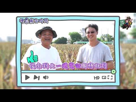 【神農帶路EP1】 帶大家前進嘉義民雄看鳳梨吃鳳梨種鳳梨