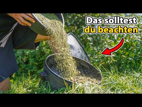 How to make the PERFECT feeder food ✅