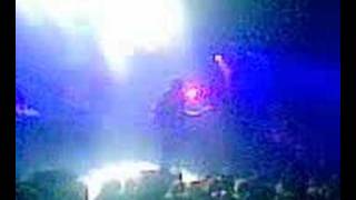 The Shake - Kisschasy