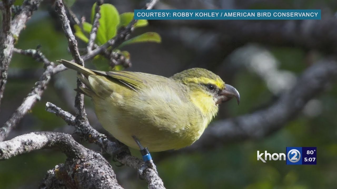 What does it mean to have an inhospitable uterus? EN General