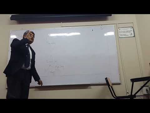 Fisiología Respiratoria Clase 1 (Grupo B)  - Parte 1