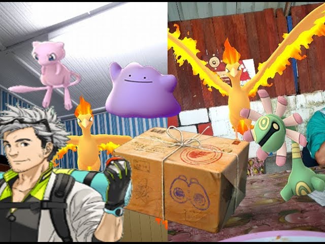 Castform Vs Ditto Pokemon Go