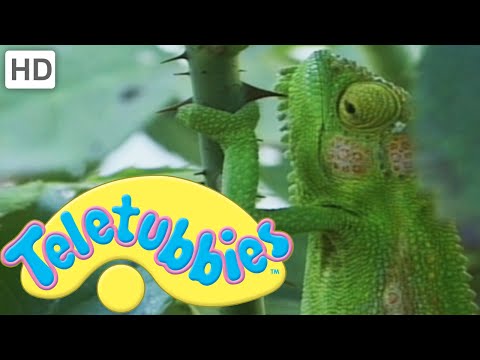 Teletubbies: Chameleons - Full Episode