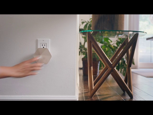 About Plume Design