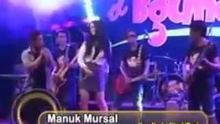 Download lagu D,begundals ~ manuk mursal mp3