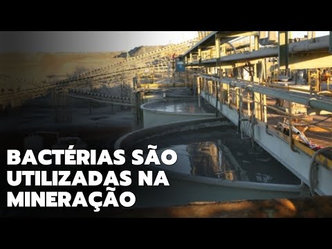 Conheça o bioleaching, técnica que utiliza bactérias na mineração