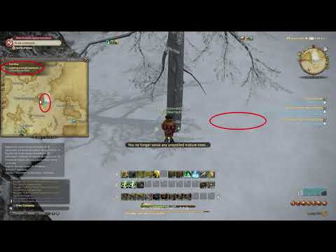Ff14 Island Spruce Log