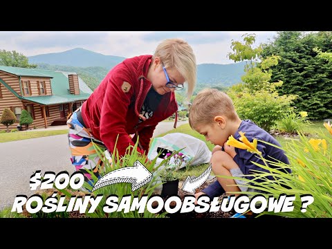 POLECAM TE ROŚLINY ! OGRÓD NOCĄ! SUPER ŚWIATŁA! TAKIE PORANKI LUBIE NAJBARDZIEJ?!