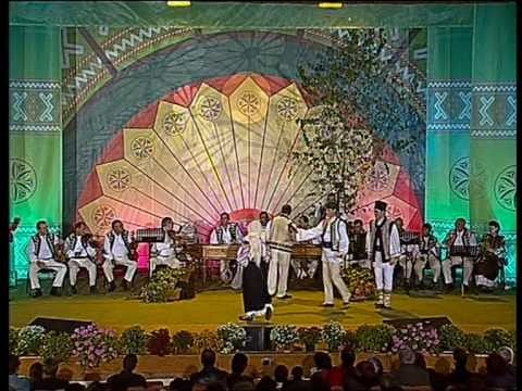 Albesteanu 2010 -  Ansamblul ''Tara Vrancei'' - recital