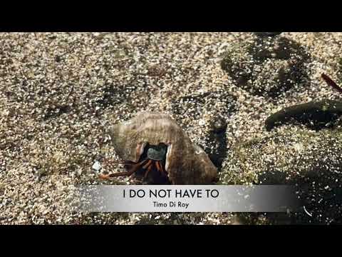 Timo Di Roy - I Do Not Have To (Original Mix)