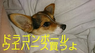 バニラウエハース～～～～ 結果最悪だった