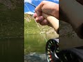 Fly Fishing For High Alpine Cutthroat Troutfishing Flyfishing Cutthroat