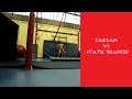 Tarzan Static Trapeze