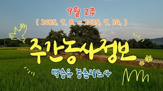 ✨주간농사정보 ] 9월 2째주 (2025. 9. 8. ~ 9. 14.)