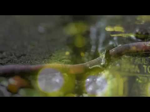 EISKRIM - Grandpa's Technology [Music Video]