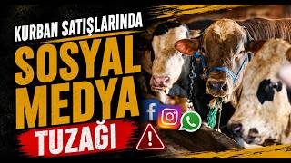Kurban Satışlarında Sosyal Medya Tuzağı