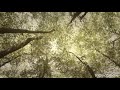 Devakumara Devakumara Tamil Christian Song Whatsapp Status