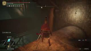 [ELDEN RING]地下とか王都とか　＃12
