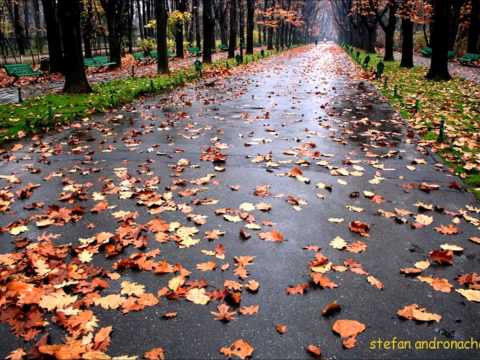 Gogo  - Renascut 2011