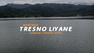 Download lagu Tresno Liyane NORTHSLE Butterfly Vibes... mp3