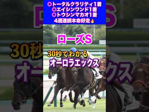 ガブリエル・アルシッペ・マヒストルについて詳しく解説