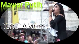 Download lagu Mawar Putih - Peramal Tua || RERE AMORA ||  MONATA mp3