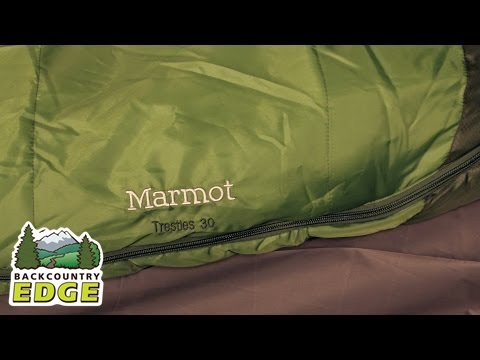download lagu mp3 mp4 Marmot Pounder, download lagu Marmot Pounder gratis, unduh video klip Marmot Pounder