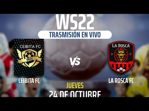 OCTAVA FECHA LA ROSCA FC VS CEIBITA FC