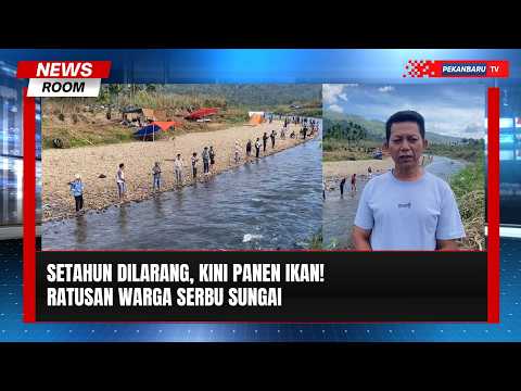 Sungai Larangan Dibuka, Warga Ramai Ramai Panen Ikan