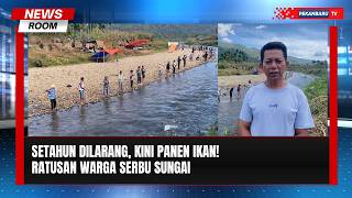 Sungai Larangan Dibuka, Warga Ramai Ramai Panen Ikan