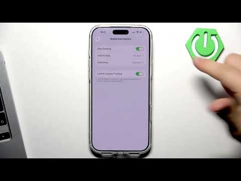 How do I enable or disable data roaming on iPhone 17 Pro Max?