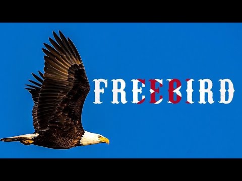 Nikki Wozzo - Freebird (A tribute to Lynyrd Skynyrd)