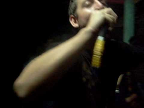 huachos piantes boom