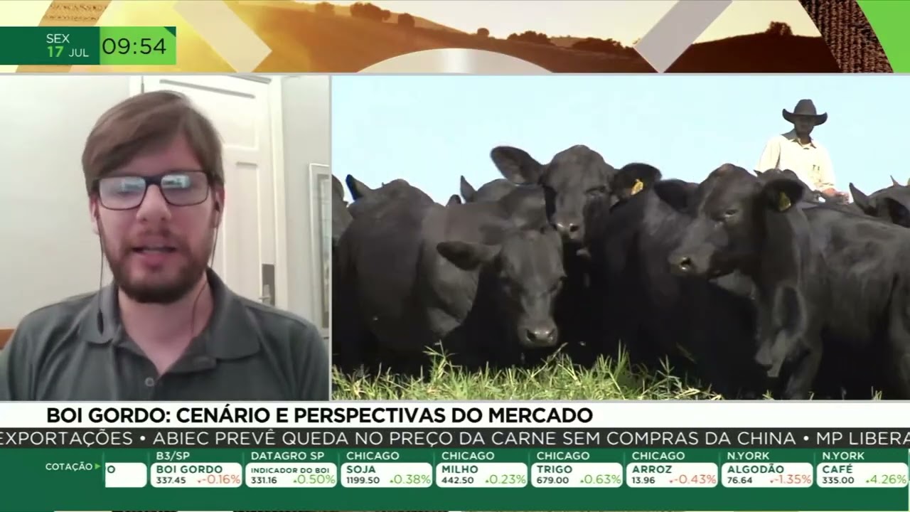 Mercado do boi gordo: preços e perspectivas para a pecuária