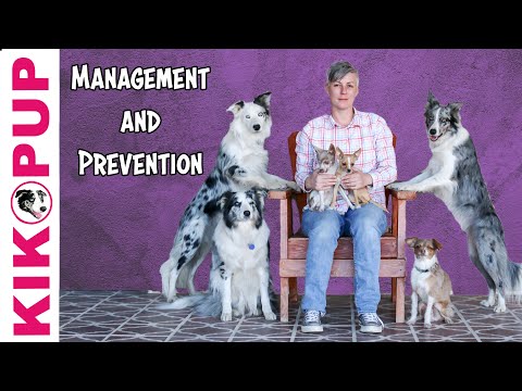 STOP UNWANTED behaviors with BACK UP