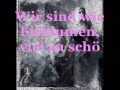 subway to sally- eisblumen (Lyric) 