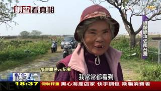 Re: [閒聊] 有人在高雄看過綠鬣蜥∕美洲鬣蜥嗎？