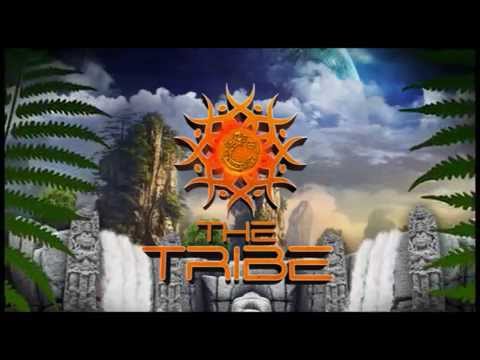 Shadai - Optimize & Capos