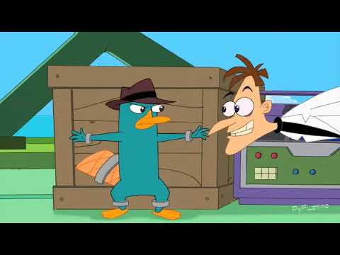 download lagu mp3 mp4 Perry Ornitorrinco, download lagu Perry Ornitorrinco gratis, unduh video klip Perry Ornitorrinco