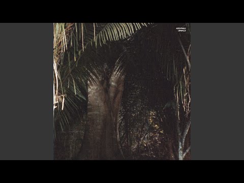 yxxoutube